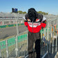 “Front design of red, black, and white Ferrari racing jacket with embroidered logos”